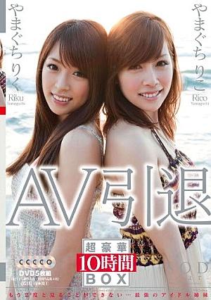 やまぐちりこ やまぐちりく AV引退
