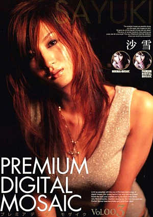 [Reducing Mosaic] Premier Digital Mosaic Vol.003 Sha Snow