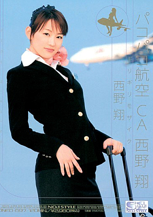 [Reducing Mosaic] ギリギリモザイク パコパコ航空CA 西野翔