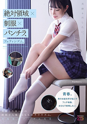 [Reducing Mosaic] 絶対領域×制服×パンチラ、フェティシズム。美脚を汚したい。