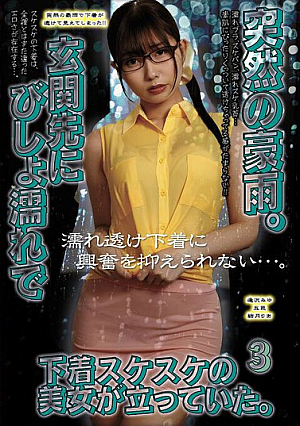 [Reducing Mosaic] 突然の豪雨。玄関先にびしょ濡れで下着スケスケの美女が立っていた。3