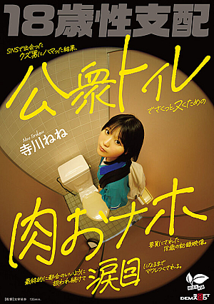[Reducing Mosaic] SNSで出会ったクズ男にハマった結果、公衆トイレでさくっとヌくための肉おナホ要員にされた18歳の記録映像。最終的に都合のいいように扱われ続けて涙目になるまでマワしつくされる。 寺川ねね