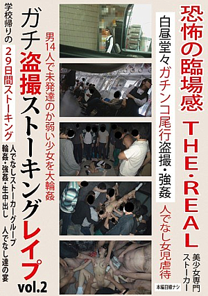 ガチ盗撮ストーキングレイプvol.2