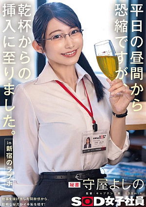 [Reducing Mosaic] 平日の昼間から恐縮ですが、乾杯からの挿入に至りました。in 新宿のラブホ 秘書 守屋よしの