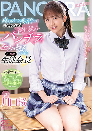 爽やかな笑顔とはギャップすぎる濡れ染みパンチラで全力誘惑してくる小悪魔生徒会長 川口桜