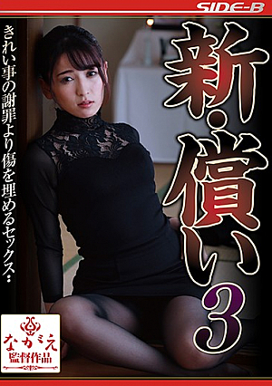 新・償い3 紗々原ゆり