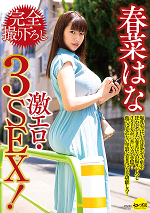 Haruna Hana Completely Taken Down Super Erotic 3SEX