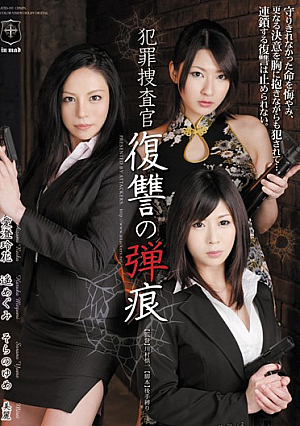 Criminal Investigations    Revenge Reika Aizumi Megumi Haruka Yume Sorano