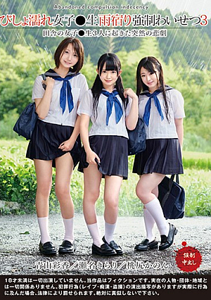 びしょ濡れ女子●生雨宿り強●わいせつ3