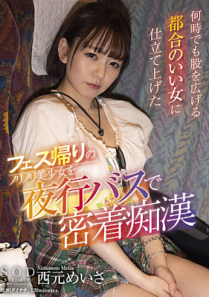 フェス帰りのノリノリ美少女を夜行バスで密着痴● 何時でも股を広げる都合のいい女に仕立て上げた 西元めいさ