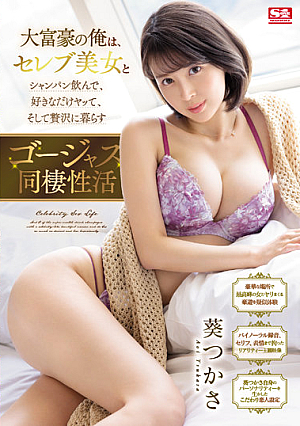 [Reducing Mosaic] 大富豪の俺は、セレブ美女とシャンパン飲んで、好きなだけヤッて、そして贅沢に暮らすゴージャス同棲性活 葵つかさ