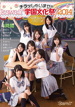 [Reducing Mosaic] チラッしゃいませ！！kawaii*学園文化祭2014 パンチラJKがお出迎え♪