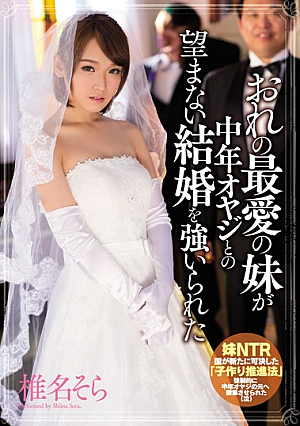 おれの最愛の妹が中年オヤジとの望まない結婚を強いられた 椎名そら