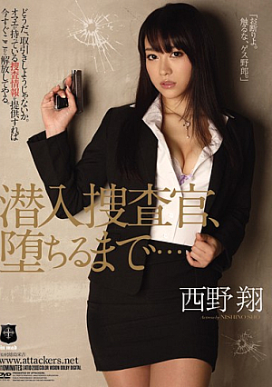 [Reducing Mosaic] Undercover, to fall Sho Nishino ...