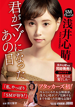SMドキュメント 君がマゾになったあの日 浅井心晴