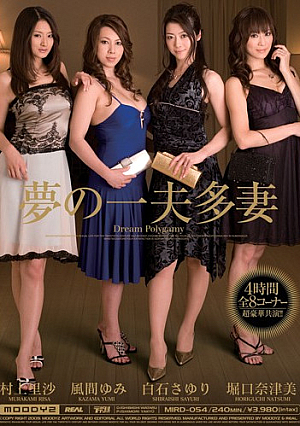 夢の一夫多妻制