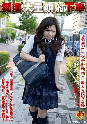  モーフィズム痴漢 降りるマス顔