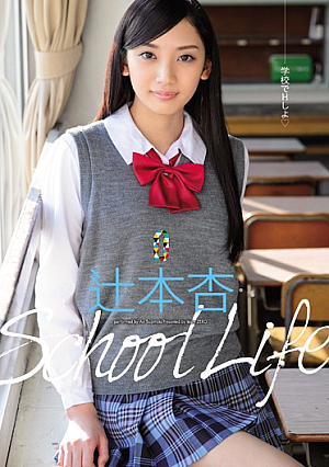 [Reducing Mosaic] School Life 辻本杏