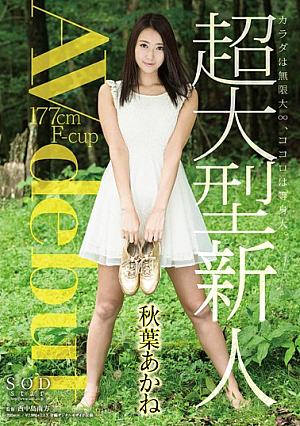  秋葉あかね AVデビュー