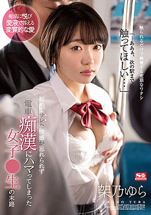 [Reducing Mosaic] 初めてサレた快感が忘れられず電車痴●にハマってしまった女子●生の末路 架乃ゆら