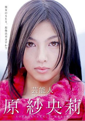 [Reducing Mosaic] Saori Hara Miracle AV Debut Of Entertainers