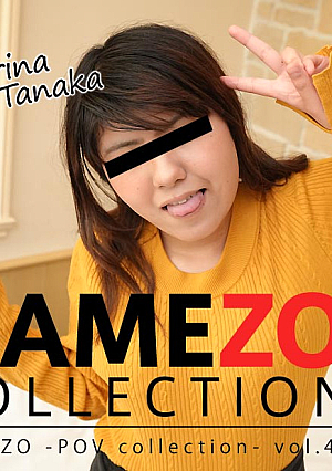HAMEZO～ハメ撮りコレクション～vol.49 - 田中香理奈