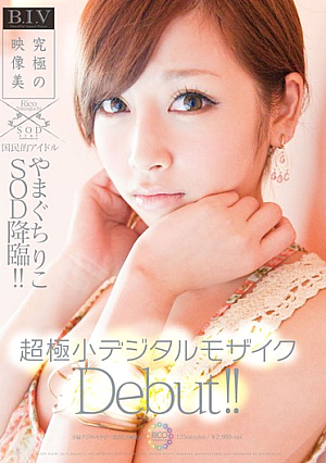 [Reducing Mosaic] Yamaguchi, Riko SOD Advent National Icon!! Ultra-small Digital Mosaic Debut!!