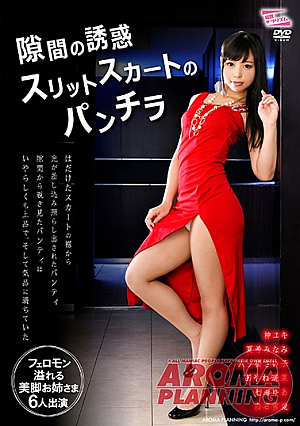  隙間スリットスカートパンチラの誘惑