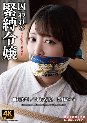 囚われの緊縛令嬢 DIDコレクション1
