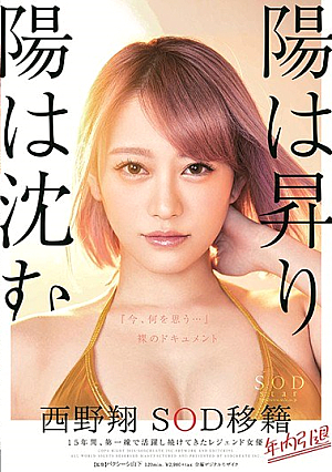 [Reducing Mosaic] 陽は昇り陽は沈む 西野翔 SOD移籍 年内引退 15年間、第一線で活躍し続けてきたレジェンド女優 『今、何を思う…』裸のドキュメント