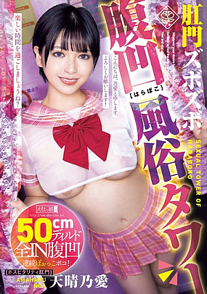 [Reducing Mosaic] Anal And Belly Concave Sex Tower - Ai Tenharu