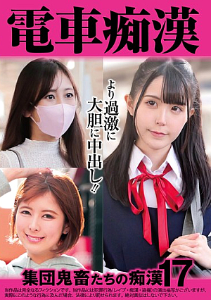 電車痴● 集団鬼畜たちの痴●17