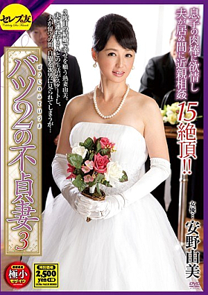 バツ2の不貞妻3 安野由美