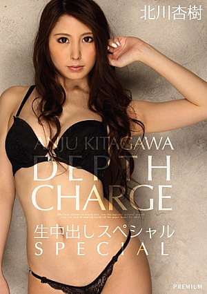 [Reducing Mosaic] Special Kitagawa Out Anju Cum