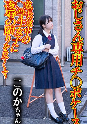 [Reducing Mosaic] チポケース 04 このか