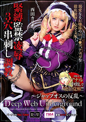 [Reducing Mosaic] Deep Web Underground 緊縛監禁凌●3穴串刺し調教 西田カリナ