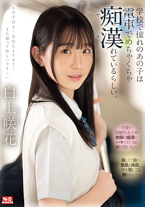 [Reducing Mosaic] Apparently The Girl I Admire At School Is Being Molested On The Train. Saki Shirakami