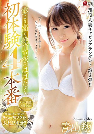 [Reducing Mosaic] 現役人妻キャビンアテンダント 第2弾！！ 雲より高く絶頂の空へはばたく初体験4本番 青山翔