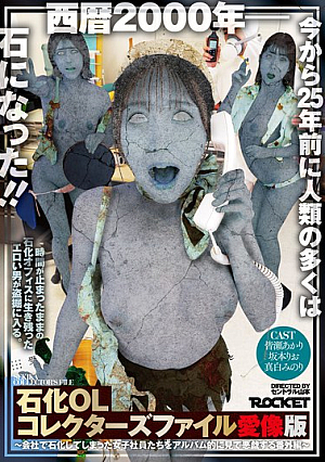 石化OLコレクターズファイル 愛像版