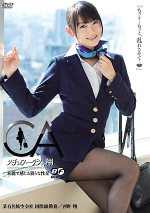 Stewardess Sho's Instinctive Sex Feels Instinct Nishino Sho