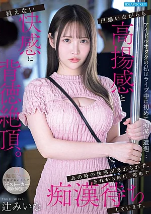 IPZZ-873 As An Idol Otaku, I Encountered A Pervert For The First Time During A Live Concert Miina Tsuji