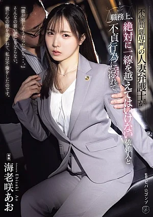 [Reducing Mosaic] A Married Lawyer Specializing In Infidelity Cases Becomes Involved In An Affair With A Client With Whom She Absolutely Must Not Cross The Line In Her Professional Duties.
