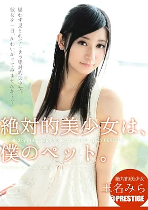 ABP-079-Mosaic 【MGSだけのおまけ映像付き+45分】絶対的美少女は、僕のペット。