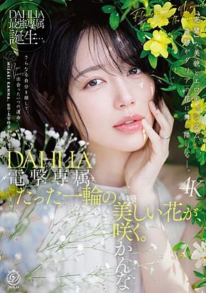 Dengeki eksklusif DAHLIA Kanna Misaki Bunga indah tunggal mekar Poster
